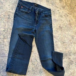 Hudson Shine Midrise Skinny Jeans